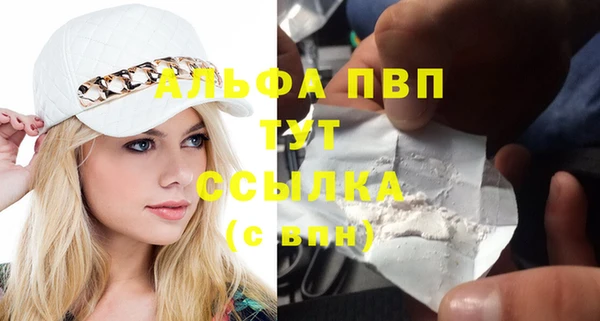шишки Каменногорск