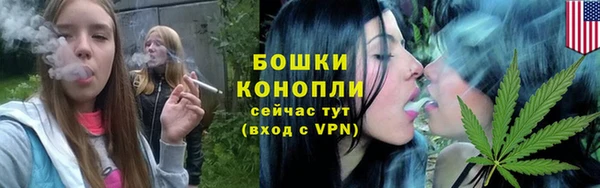 молекула духа Чегем
