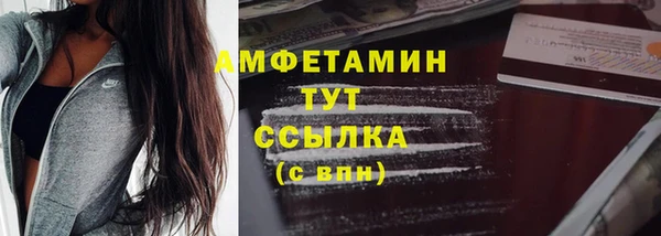 шишки Каменногорск