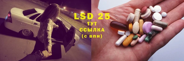 шишки Каменногорск