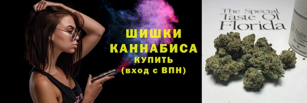 шишки Каменногорск