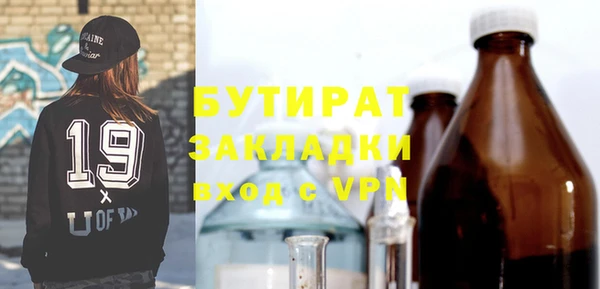 шишки Каменногорск
