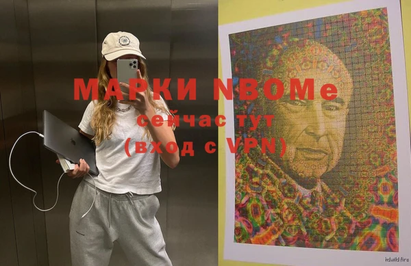 шишки Каменногорск