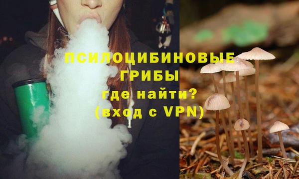 круглые Каменка