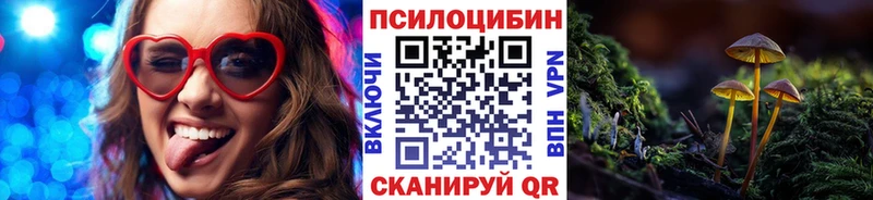 Купить закладки  Красноперекопск  Псилоцибиновые грибы Psilocybine cubensis 